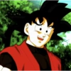 Goku xeno 12