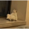निराशा/आलस्य 8