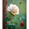 Good morning 20