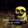 Sé que duermes con una tal cobija