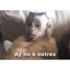 Mono meme 11
