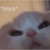 Meow 10