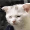 Memes - Con Sueño 😴🥱 14