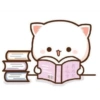 Cutemochicates  29