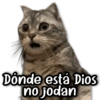 🌀 Memes & Shitpost #1.0 14