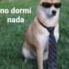 Perritos con frases 😎🌚 13