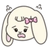 Cute bunny 🐾✨🐰🎀 11