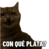 CON QUÉ PLATA?