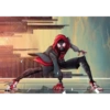 Spiderman 11