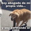 Soy abogado de mi propia vida... y voy perdiendo el caso
