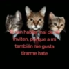 Memes con texto 6 🏝️👀 15