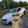 Cachorro memes 10