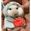 Whatsapp stickers 13
