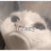 Anomali kucing 13