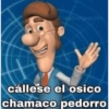 ashetpostin cállese el osico chamaco pedorro