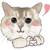 @KiwiBritishCat 10