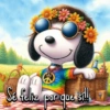 Se feliz por que sill