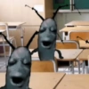💫 Plankton🔥🦗 24