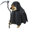 Perro meme Cheems 👋🏻😎 10