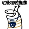🐯Pumas 🐯⚽ 12