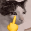 Cat by : Ling Ling 💜 5