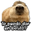 Te puedo dar un besito?