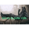 Sisi ñam ñam 🧐 24