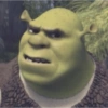SHREK 11