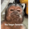No hago favores