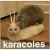 Quiere que le baile 12