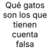 Qué gatos son los que tienen cuenta falsa