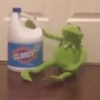 Ranita RENÉ! 🐸 21
