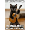 Talking cat 17