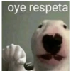 Me petrifiqué 7