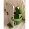 Kermit the frog 13