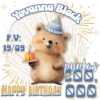 MASCOTAS 12