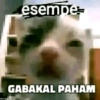 Mau saya satirin kah cuy 14