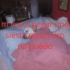 Perritos con frases 😎🌚 9
