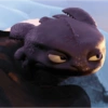 Toothless  15