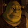 SHREK 17