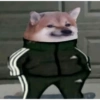 Sukkuu 10