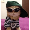 Cachorro memes 13