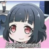 Cochinoide mierda