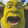 SHREK 12