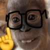 MEMES XD 5