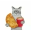 Shitpost Gatitos 💪🏻🤑 10