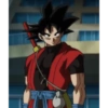 Goku xeno 6