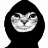 Gatos muy Random🐈‍⬛😹😺 8