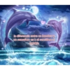 DELFINES UNICORNIO TREND 8