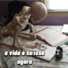 a vida é sólisso agora